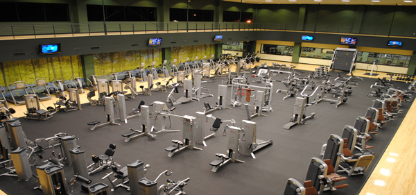Fitness