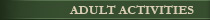 Adult Activities